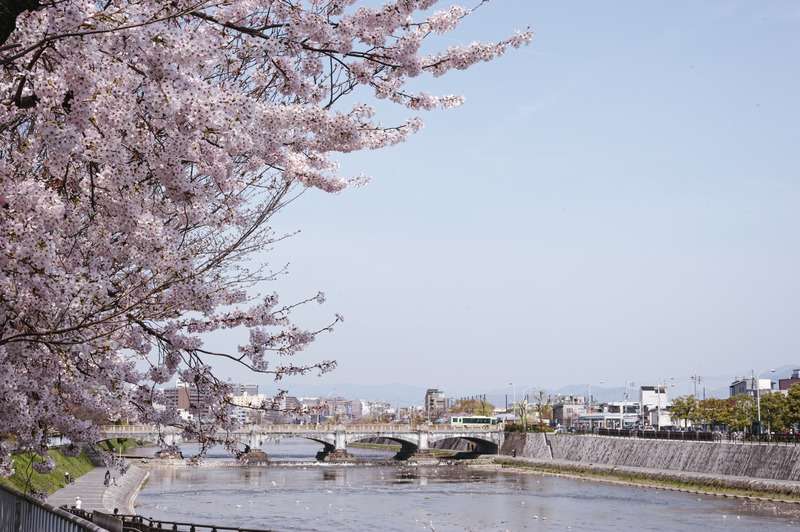 【浜松　カイロプラクティック】散歩をしたくなる季節に向けて。